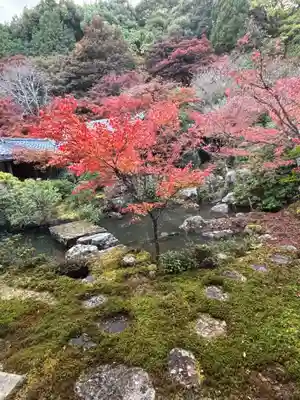 実相院門跡(京都府)