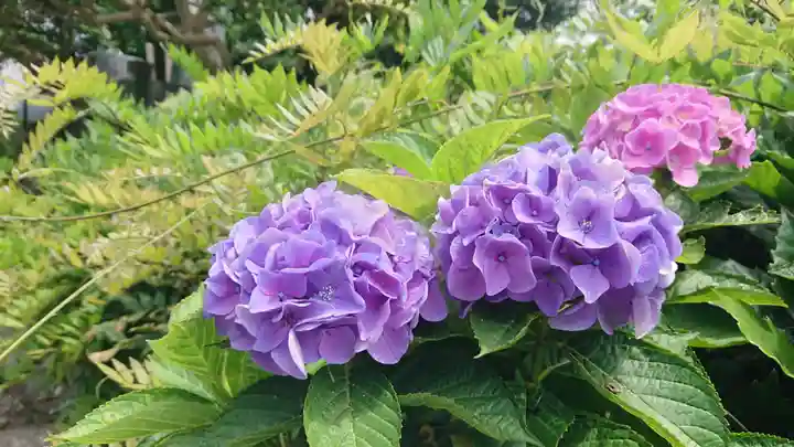 東光寺(静岡県)