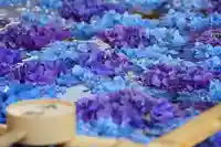 土津神社|こどもと出世の神さまの手水舎