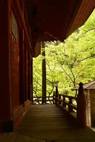 橋立堂(埼玉県)