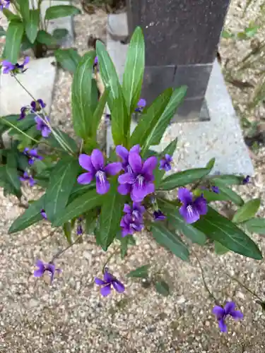 善水寺(滋賀県)