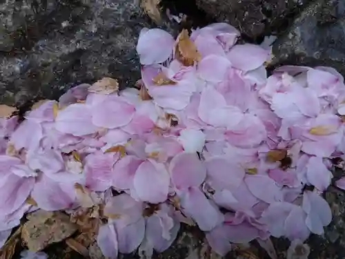 丸岡城八幡神社(福井県)