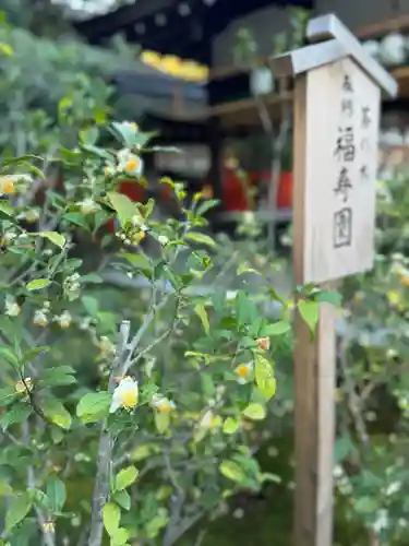賀茂御祖神社（下鴨神社）(京都府)
