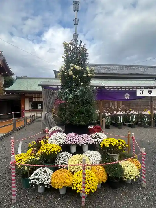 亀戸天神社(東京都)