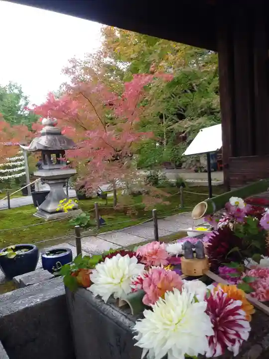 勝林寺の手水舎