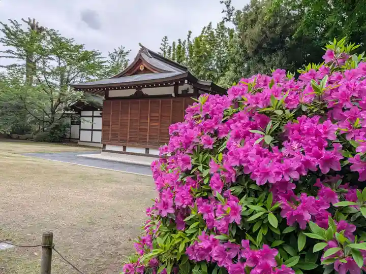 阿佐ヶ谷神明宮(東京都)