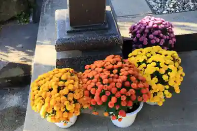 豊景神社の手水舎
