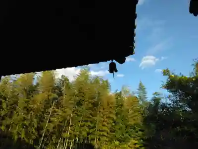 阿弥陀寺(神奈川県)