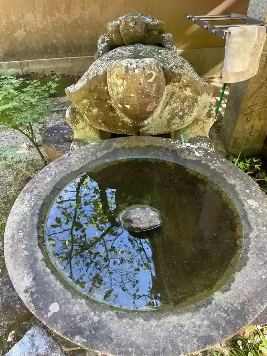 浄瑠璃寺(愛媛県)