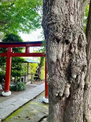 由比若宮（元鶴岡八幡宮）(神奈川県)