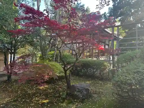 御霊神社（上御霊神社）(京都府)