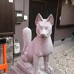 赤手拭稲荷神社の狛犬