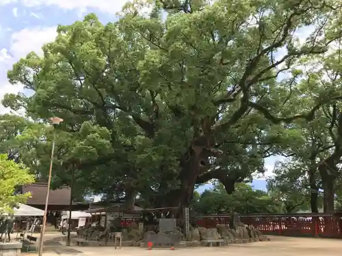 宇美八幡宮の自然