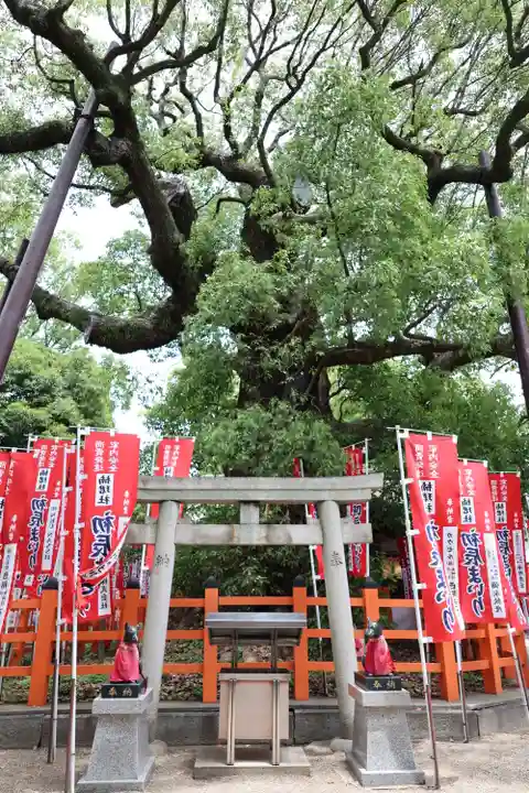 住吉大社(大阪府)