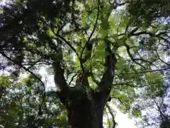 水屋神社(三重県)