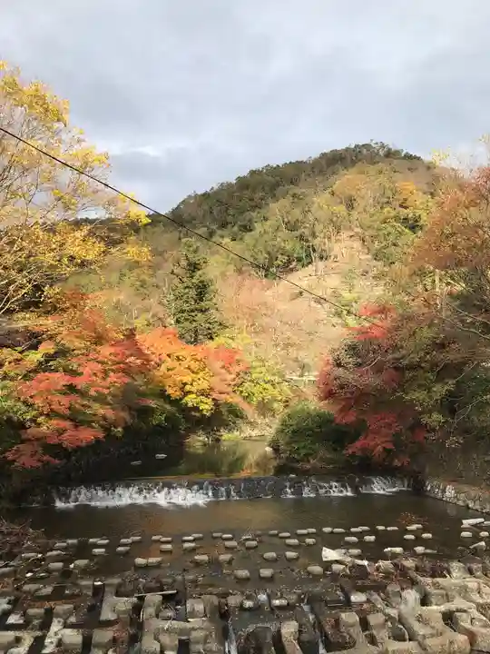 比叡山延暦寺の自然
