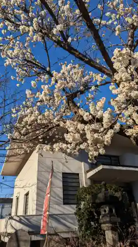 浄名院(東京都)