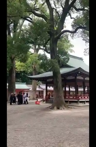 武蔵一宮氷川神社(埼玉県)