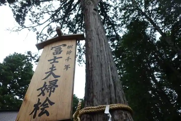 北口本宮冨士浅間神社(山梨県)