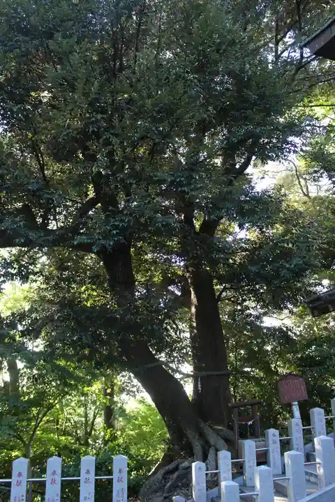 魂生神社(千葉県)