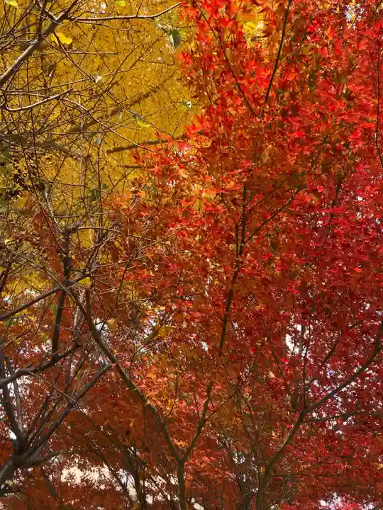 瀧宮神社(広島県)
