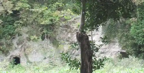 東勝寺跡の自然