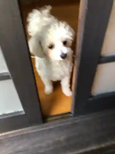 大林寺(宮城県)