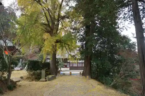 如意輪寺(市原観音)の庭園