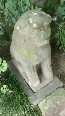 越谷香取神社の狛犬