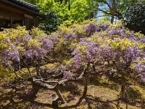 長慶院(京都府)