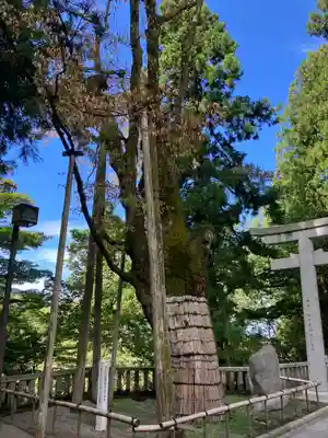 白山比咩神社(石川県)