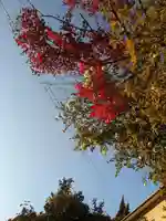 石内のお大師さん 金剛院(広島県)