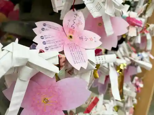 札幌諏訪神社のおみくじ