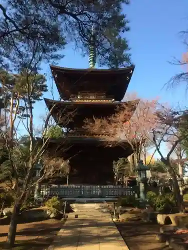 豪徳寺の塔