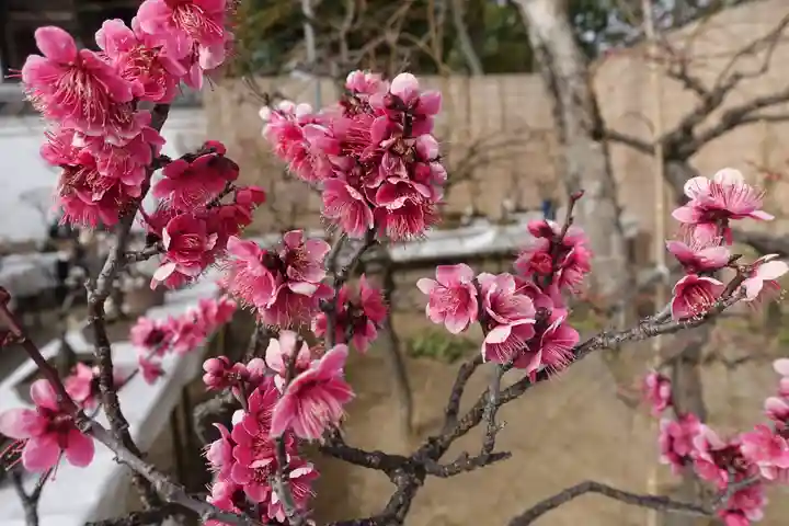 菅原天満宮(菅原神社)の自然