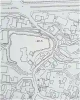 津島神社(樹木)(愛知県)