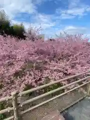 慈悲観音堂(大分県)