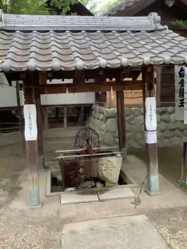 白金龍王社の手水舎