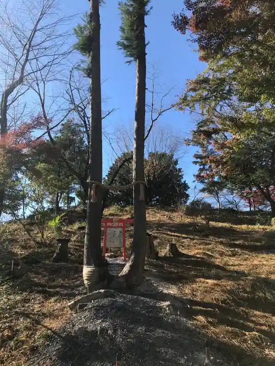 富士浅間神社の自然