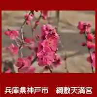 綱敷天満宮の自然