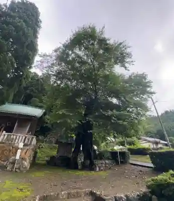 苅田比売神社(福井県)