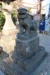 白鬚神社の狛犬