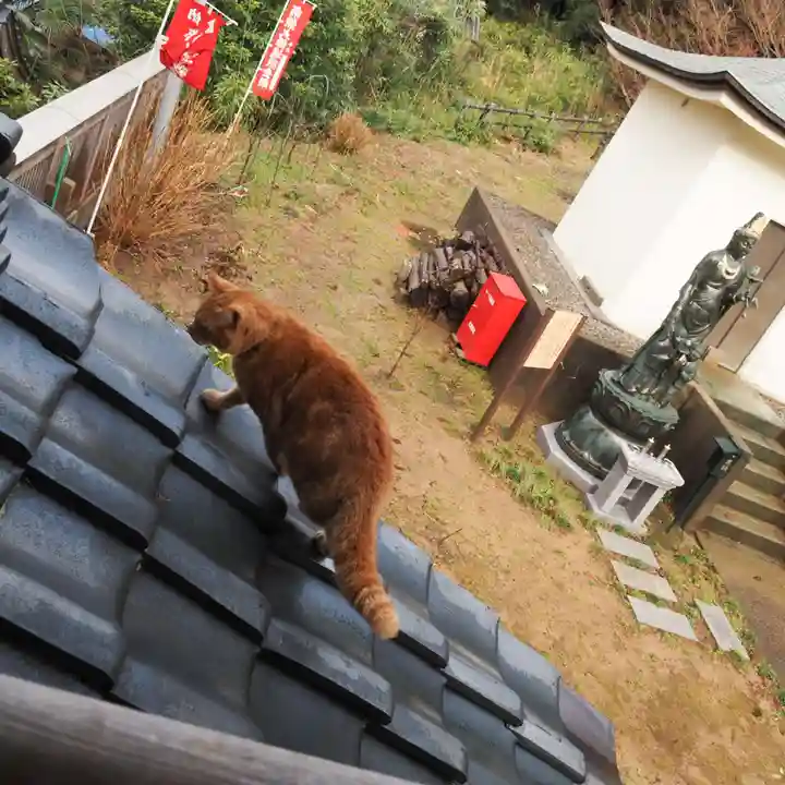 天王山 安楽寺の動物