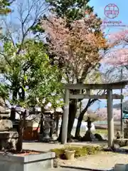 立志神社の鳥居