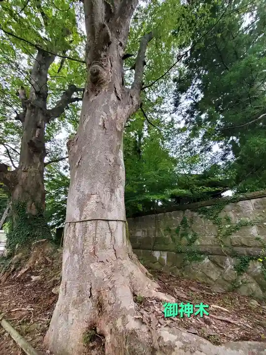 神炊館神社 ⁂奥州須賀川総鎮守⁂(福島県)