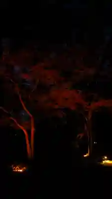 賀茂御祖神社（下鴨神社）(京都府)