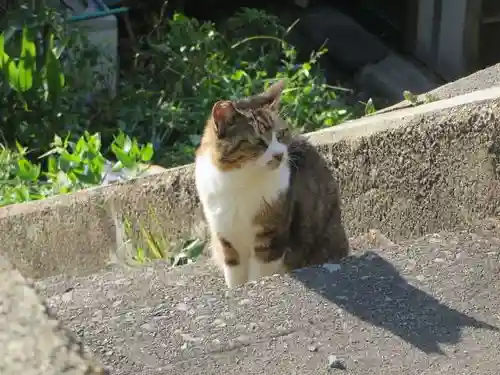 熊野若王子神社(京都府)