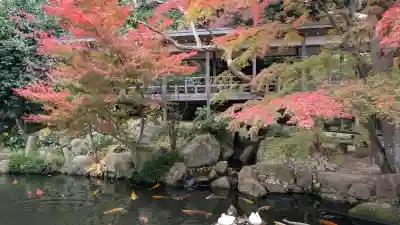 楽法寺（雨引観音）の{uncategorized: "未分類", other: "その他", undefined: "問題あり", building: "その他建物", grave: "お墓", sacred_gate: "鳥居", guardian: "狛犬", statue: "像", buddha: "仏像", history: "歴史", nature: "自然", garden: "庭園", animal: "動物", pagoda: "塔", temizu: "手水舎", mountain_gate: "山門・神門", sanctuary: "本殿・本堂", subordinate: "末社・摂社", art: "芸術", scenery: "景色", jizo: "地蔵", ema: "絵馬", goshuin: "御朱印", omikuji: "おみくじ", items: "授与品その他", amulet: "お守り", goshuincho: "御朱印帳", eats: "食事", festival: "お祭り", votive_dance: "神楽", shichigosan: "七五三参", wedding: "結婚式", experience: "体験その他", initially: "初詣", around: "周辺", anti_infection: "感染症対策"}