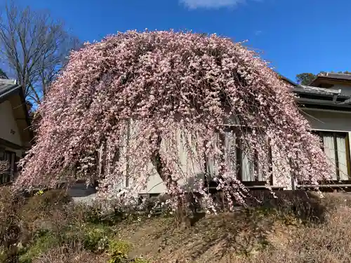 朝日森天満宮の庭園