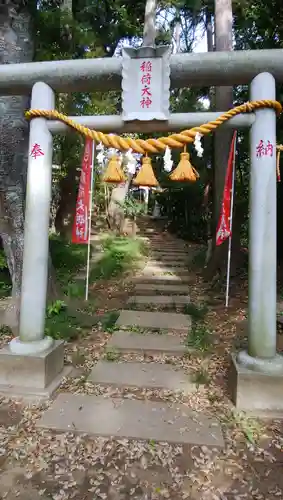 戸隠神社の鳥居